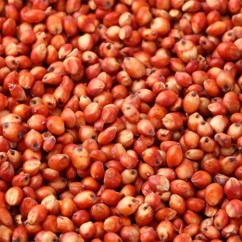 红高粱喂鸽子粮食去壳带皮鸟食信鸽观赏鸽肉鸽幼鸽成鸽粮饲料