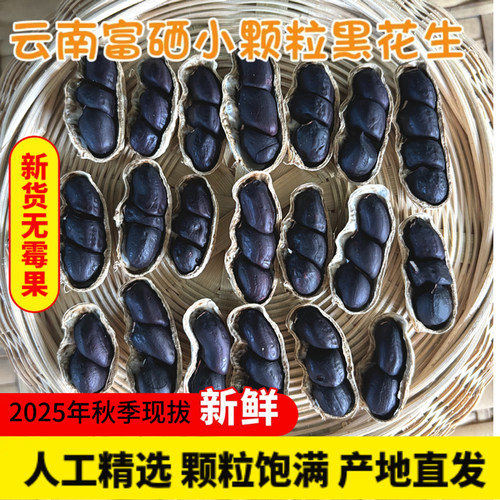 云南特产黑花生新货带壳富硒晒干生熟黑皮花生米坚果炒货新鲜健康