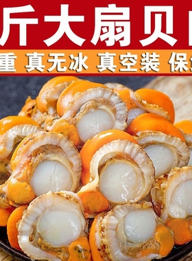 Gc新鲜扇贝肉带黄冷冻特大超大蒜蓉鲜贝肉商用批发水产海产品贝类