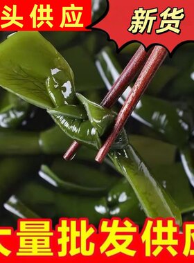 盐渍海带结新货特级厚非干货凉拌