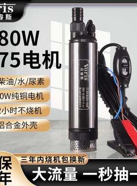 280w大功率柴油泵电动抽油泵神器12v大流量24伏小型抽水泵220潜油