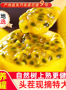 钦蜜9号黄金百香果新鲜水果2/3/5斤包邮大果当应季纯甜黄金果