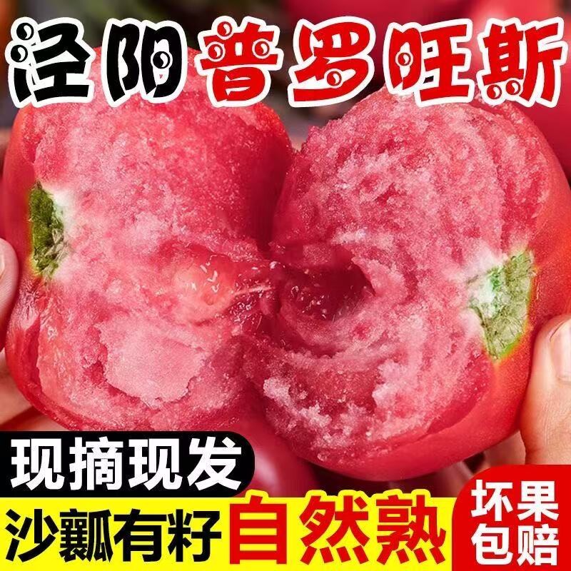 正宗陕西泾阳自然熟普罗旺斯西红柿番茄孕妇水果生吃沙瓤新鲜蔬菜