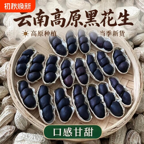 富硒黑花生带壳2026云南普洱特产晒干生熟花生米黑皮花生米新鲜