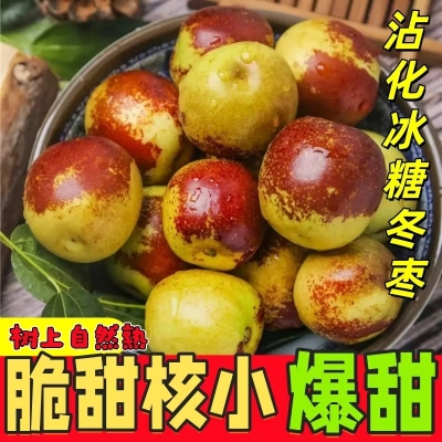 正宗山东沾化冬枣冰糖甜脆枣大青枣红枣高端新鲜水果特大5斤包邮