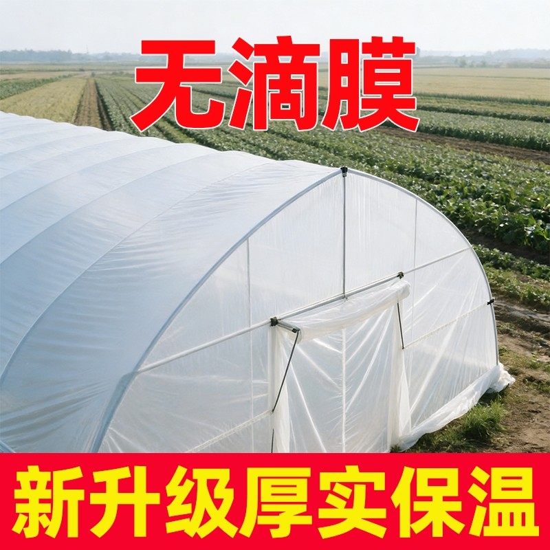 白色长寿大棚塑料膜透明加厚塑料布无滴膜农用膜蔬菜保温薄膜防水