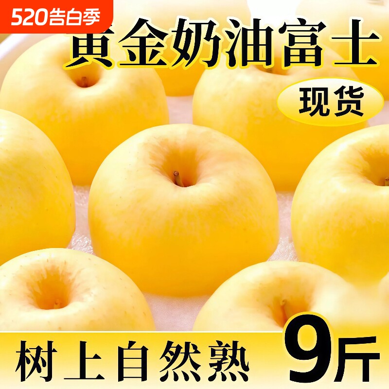 山东烟台黄金奶油富士苹果当季新鲜水果冰糖心牛奶脆甜整箱包邮