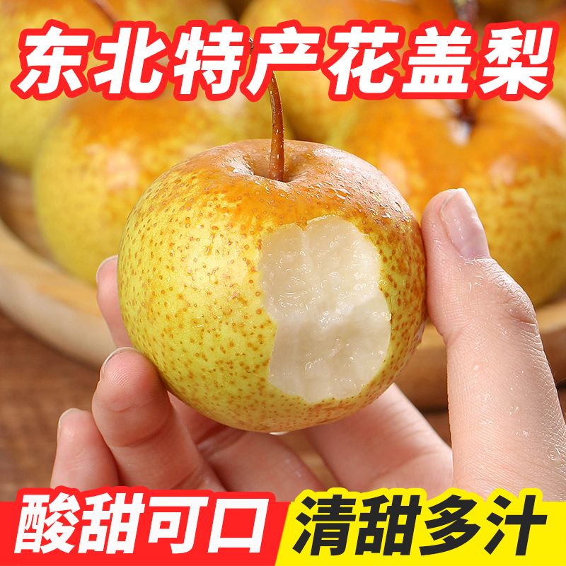 果肉细腻花盖梨薄皮秋子梨酸甜可口新鲜采摘鲜果