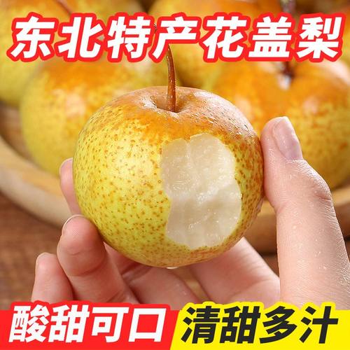 果肉细腻花盖梨薄皮秋子梨酸甜可口新鲜采摘鲜果