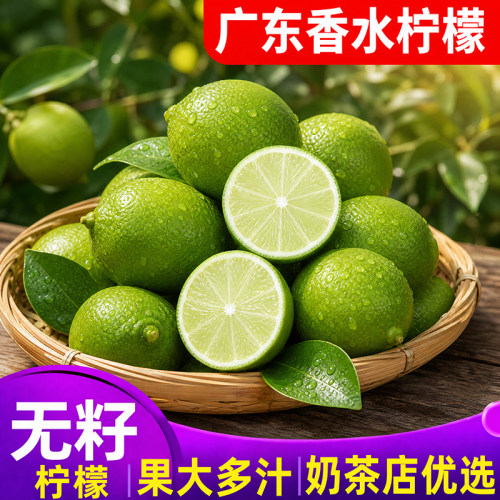 广东香水柠檬无籽青柠檬新鲜酸爽柠檬现摘奶茶店优选一级果二级果