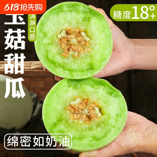 9斤正宗山东玉菇甜瓜现摘现发