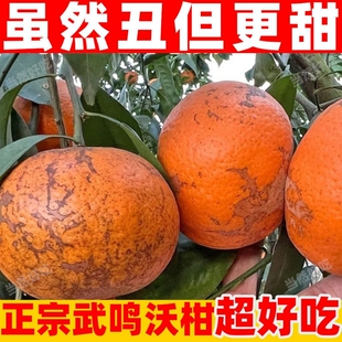 正宗广西武鸣花皮沃柑薄皮柑橘子5斤新鲜桔子水果橘子蜜柑年货节