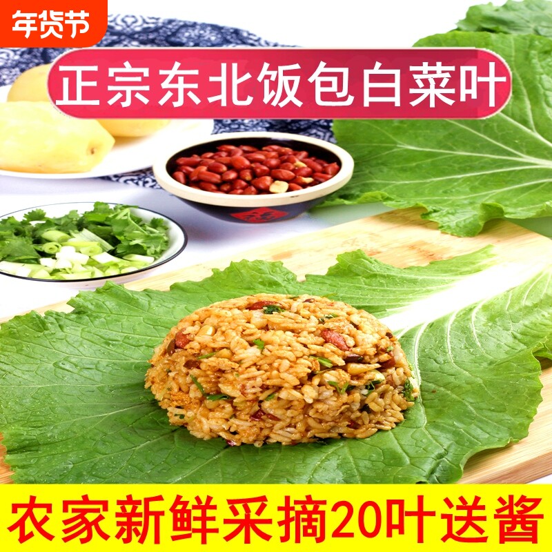 东北饭包白菜叶农家打饭包的大白菜叶新鲜蔬菜蘸酱菜组合送酱即食