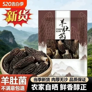 【果官宣】高品质精选羊肚菌