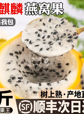 燕窝果新鲜水果麒麟果黄色火龙果稀有现摘大果当季鲜果热带水果