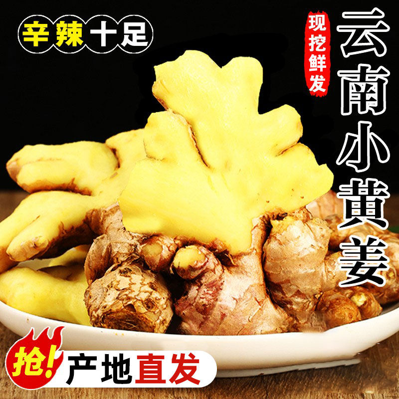 2025新鲜云南小黄姜新鲜生姜老姜现挖高山沙姜土姜种子蔬菜10斤