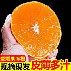 15.5左右正宗爱媛果冻橙4.5斤