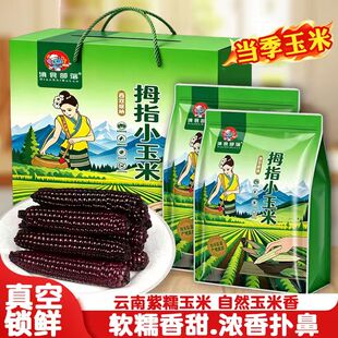 西双版纳紫糯拇指小玉米新鲜真空装即食手指儿童早餐黑玉米棒礼盒