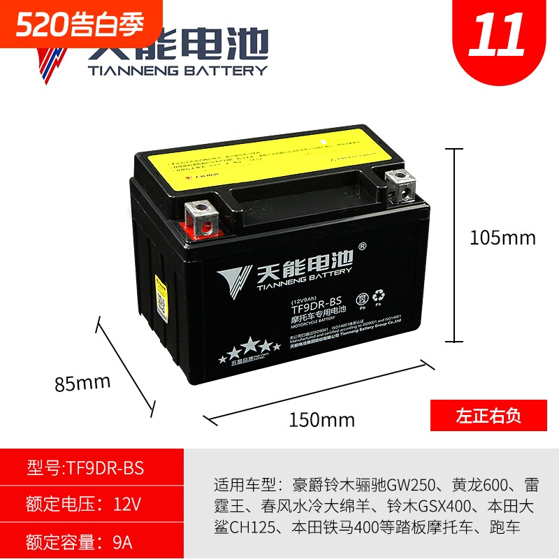 摩托车电瓶YTX9-BS黄龙600/300骊驰250大鲨GW25