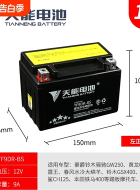 摩托车电瓶YTX9-BS黄龙600/300骊驰250大鲨GW25012V通用干电池