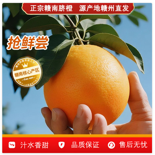 赣南脐橙赣州源头直发整箱装包邮