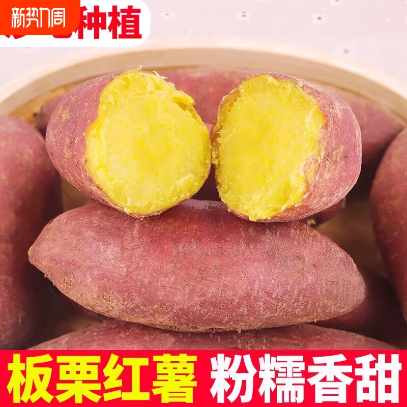 山东板栗番薯红薯地瓜新鲜黄心农家自种9斤香薯小山芋烟薯9斤蜜薯