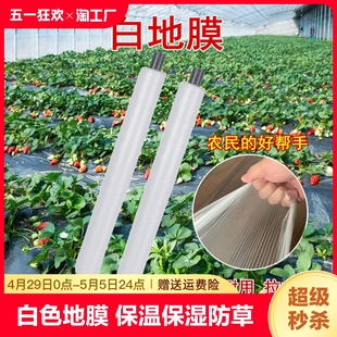 农用白色地膜保温蔬菜大棚种植防草塑料小拱棚薄膜防渗地面覆盖