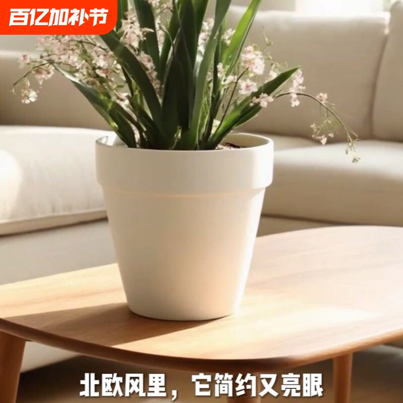 花盆陶瓷家用冬青多肉蝴蝶兰专用绿植兰花透气陶土盆特价桌面托盘