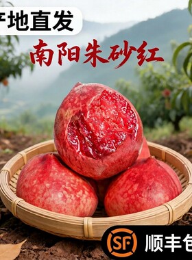 南阳朱砂红桃子猪血红胭脂红肉新鲜血桃水果蜜桃老树红心桃子当季