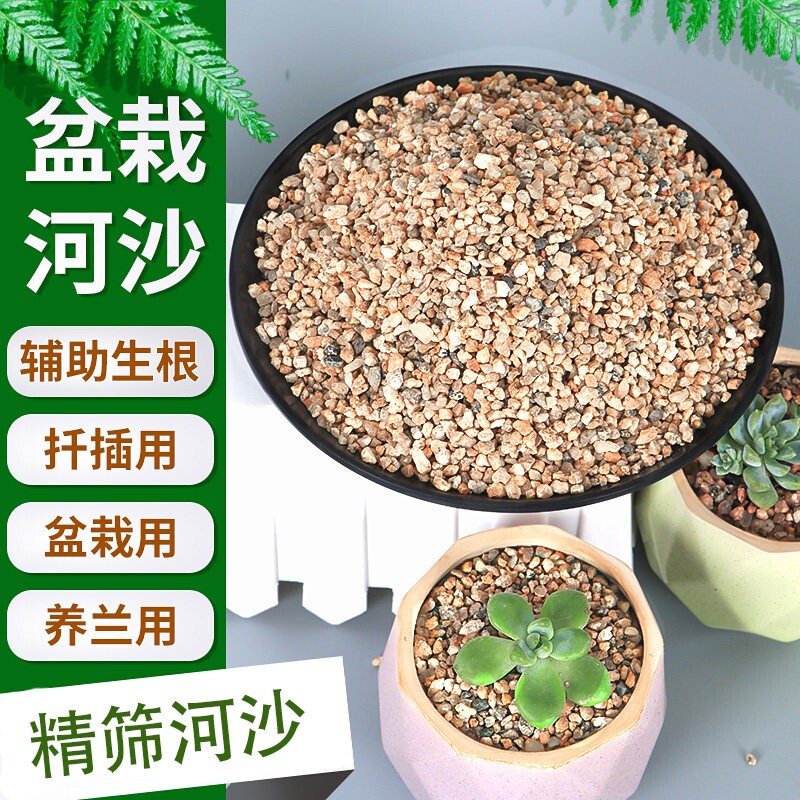 天然粗河沙粒养花用多肉颗粒土铺面石透气黄细沙子鱼缸造景底砂石										