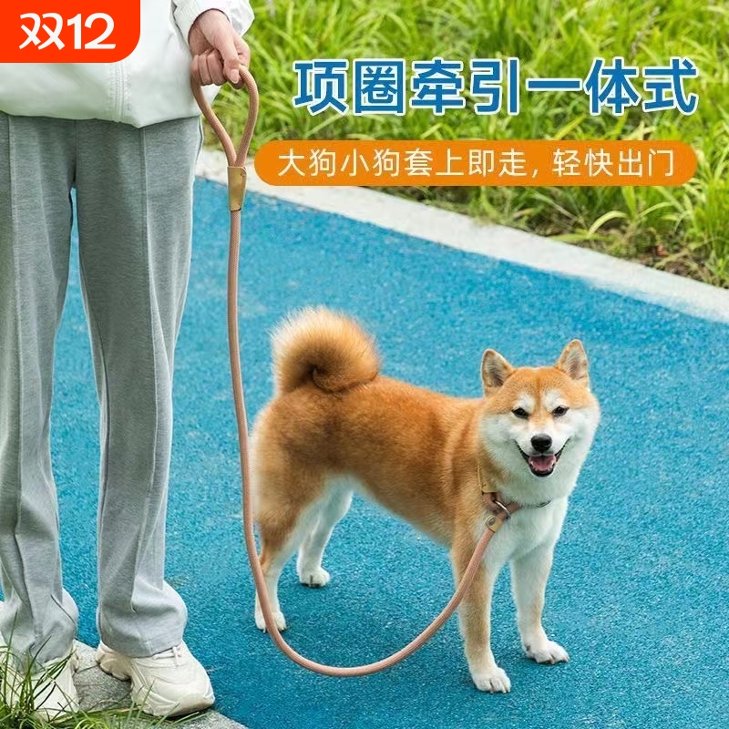 炅哆哆狗狗牵引绳项圈牵引一体式