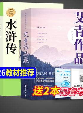 水浒传九年级必读正版完整版