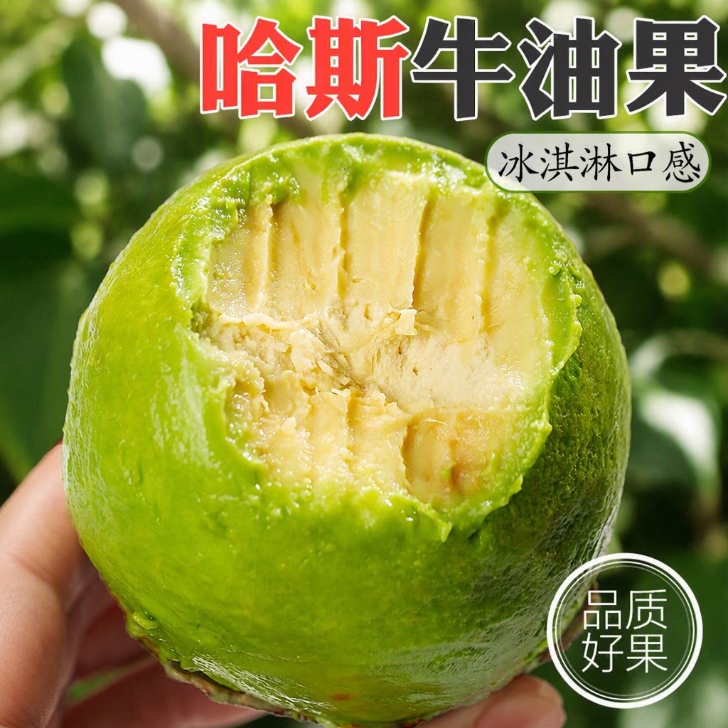 牛油果大果新鲜水果当季整箱包邮批发一级鳄梨进口秘鲁哈斯奶油