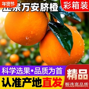 江西当季新鲜甜橙子孕妇水果2025年新果万安脐橙冰糖橙大果年货