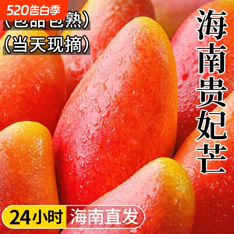 正宗海南贵妃芒新鲜水果当季树上熟整箱大果批发红金龙芒果甜心芒