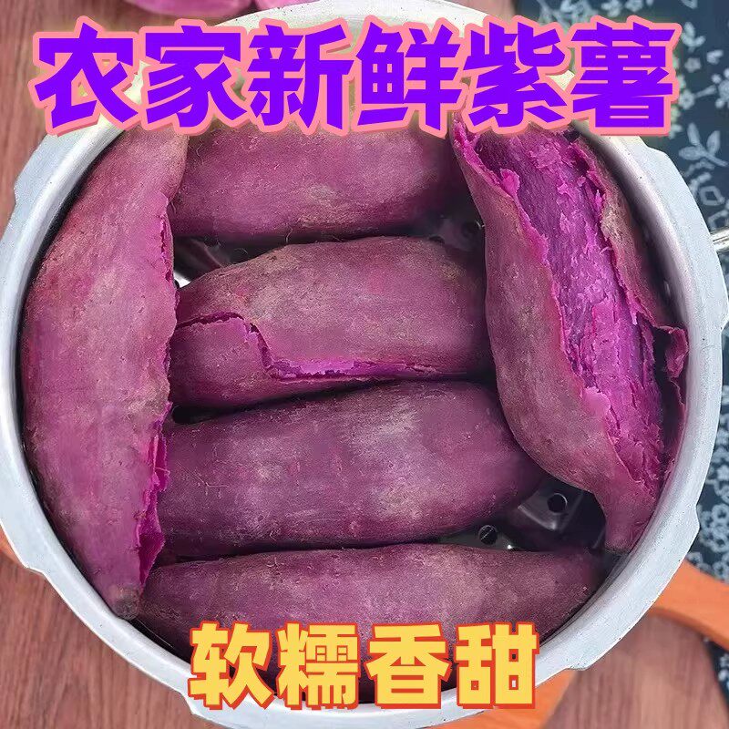 新鲜沙地紫薯农家自种蜜薯现挖红薯地瓜板栗山芋批发食用软糯去皮
