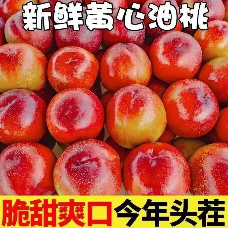 运城麻脸黄心油桃脆甜多汁整箱批发新鲜孕妇水果桃子麻点脆油桃