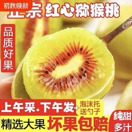 【顺丰发货】四川红心猕猴桃应季鲜果果肉饱满多汁红心家庭装包邮