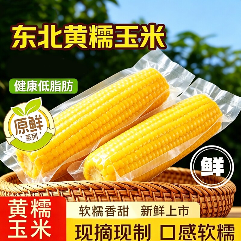 黄糯玉米东北甜糯拉丝玉米新鲜香甜黏玉米棒宝宝辅食真空现摘软糯
