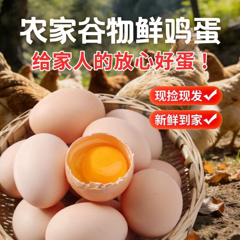 林下小小农家鸡蛋新鲜6-30枚50g±5g土鸡蛋新鲜正宗农家散养