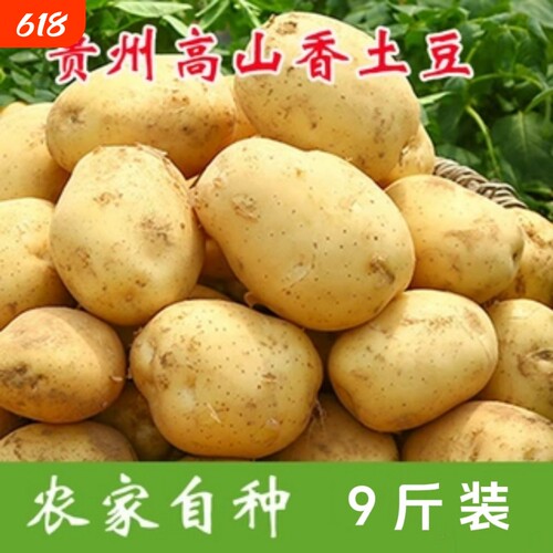 贵州农家黄心黄皮土豆专用炒土豆丝洋芋农家自种新鲜马铃薯整箱