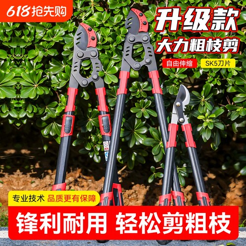 剪枝剪刀修枝果树专用园艺树枝剪修剪神器省力修大枝强力粗枝剪刀