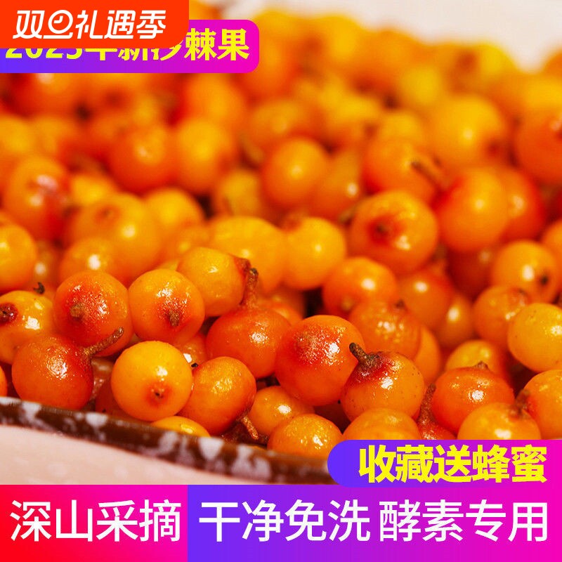 25新货山西特产吕梁新货精选新鲜沙棘果纯野酵素用榨汁多买优惠