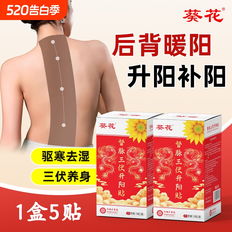 葵花督脉升阳贴龙骨凤脉艾灸贴脾胃热敷暖背去寒暖阳温灸贴
