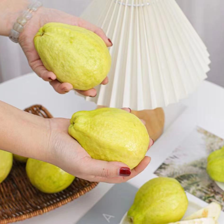 正宗福建白心软芭乐番石榴新鲜水果白心芭乐奶油芭乐