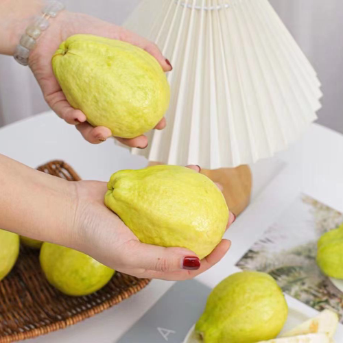 正宗福建白心软芭乐番石榴新鲜水果白心芭乐奶油芭乐