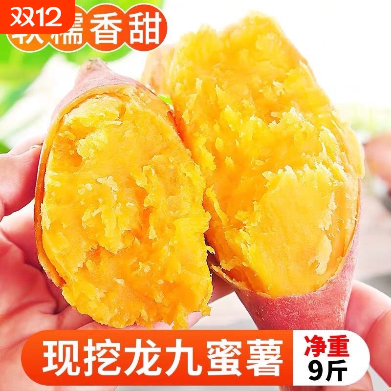 现挖农家自种龙九红薯龙薯9号番薯美味地瓜蒸吃新鲜味美沙地板栗