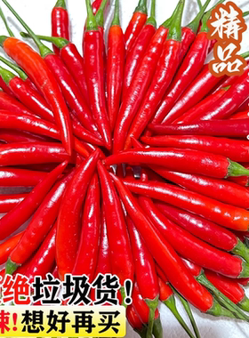 小米辣新鲜现摘朝天椒指红米椒