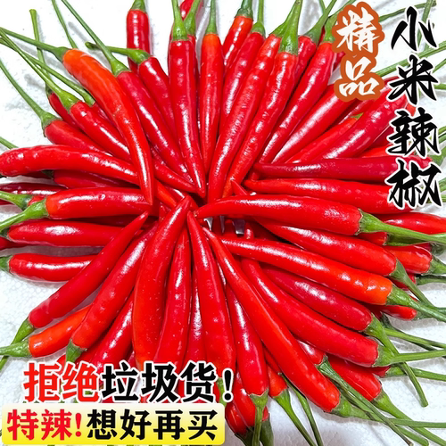 小米辣新鲜现摘朝天椒指红米椒小米椒巨辣新鲜现摘朝天椒指天椒