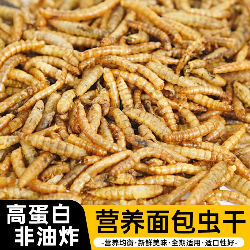 面包虫干黄粉虫喂鸟虎皮乌龟仓鼠龙鱼食零食饵料守宫蜥蜴饲料八哥